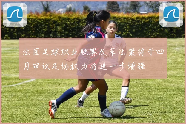 法国足球职业联赛改革法案将于四月审议足协权力将进一步增强