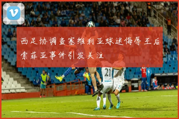 西足协调查塞维利亚球迷侮辱王后索菲亚事件引发关注