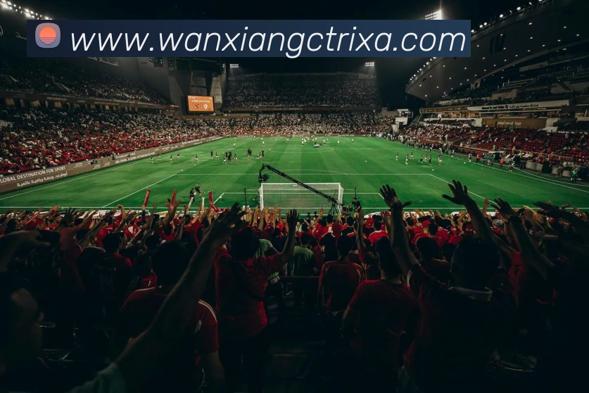 多媒体互动体验